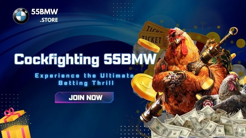 Cockfighting 55BMW Lobby: Where Champions Rise
