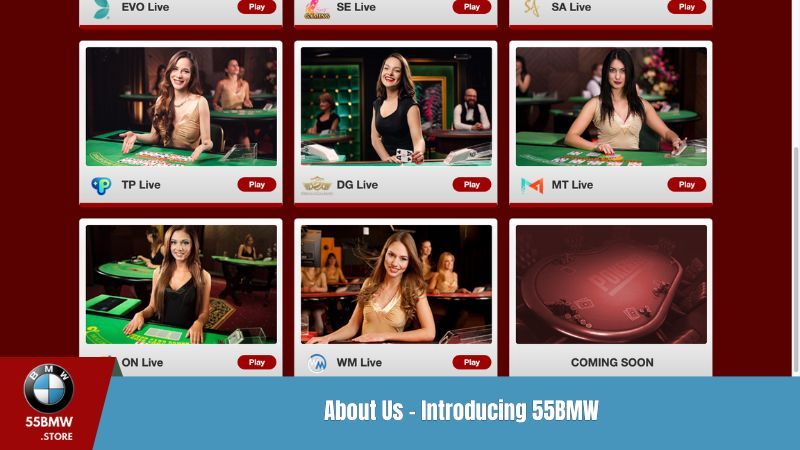 About Us - Introducing 55BMW