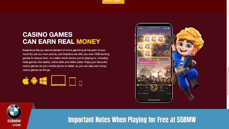 Important Notes When Playing for Free at 55BMW