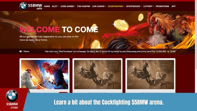 Learn a bit about the Cockfighting 55BMW Lobby arena.